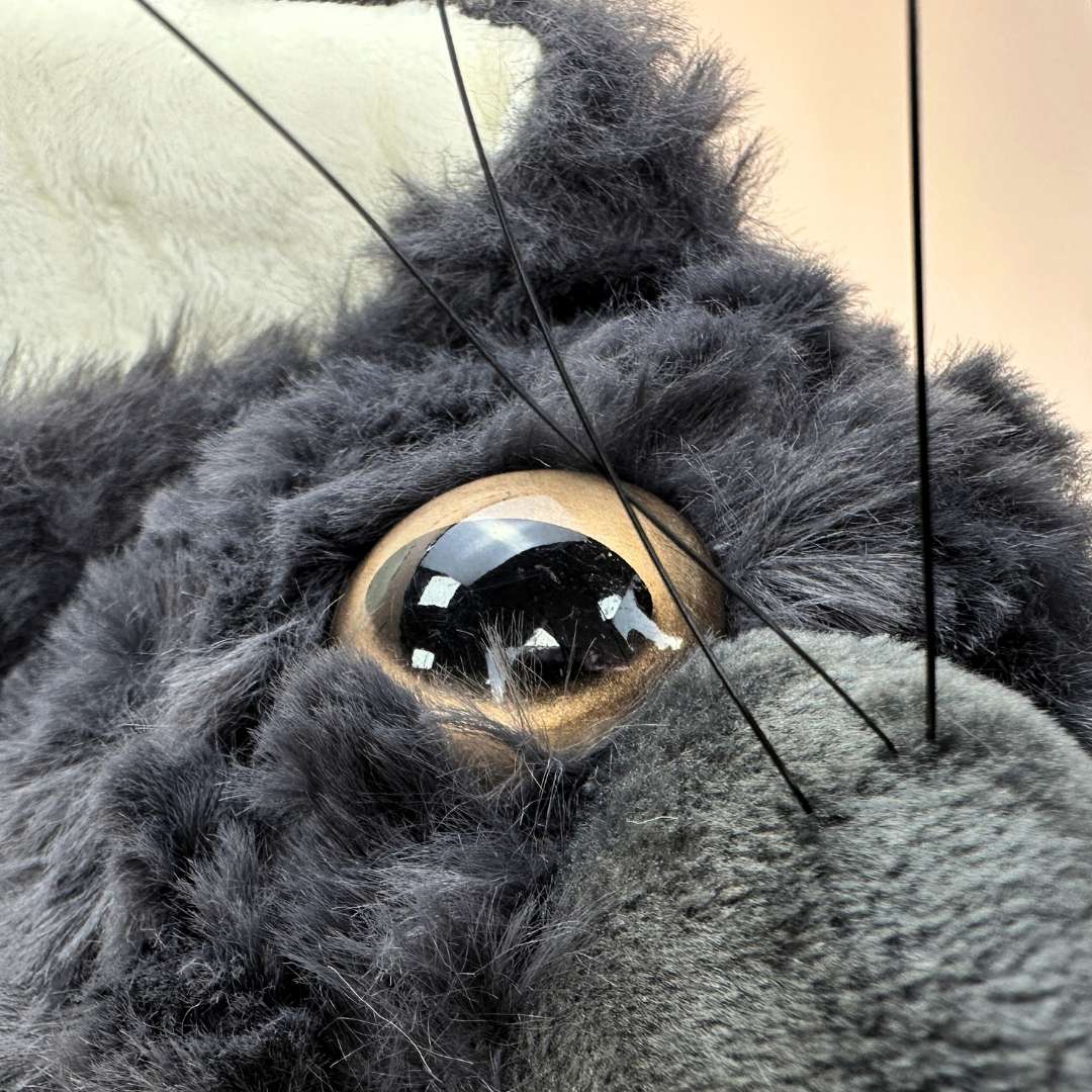 かわいい黒いデボンレックス猫 ぬいぐるみ