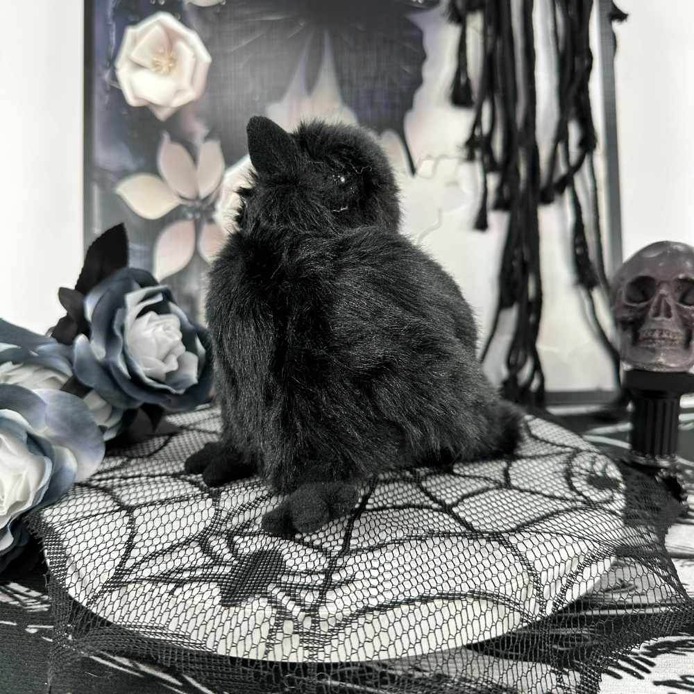 ブラックゴスカラスぬいぐるみ