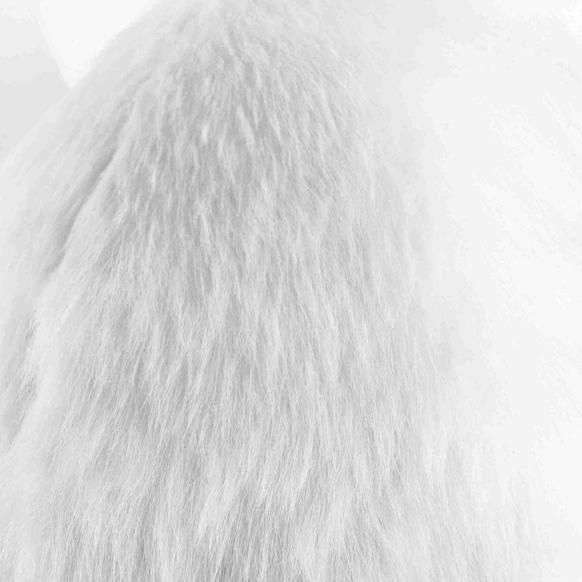 かわいい好奇心旺盛な白い猫のぬいぐるみ