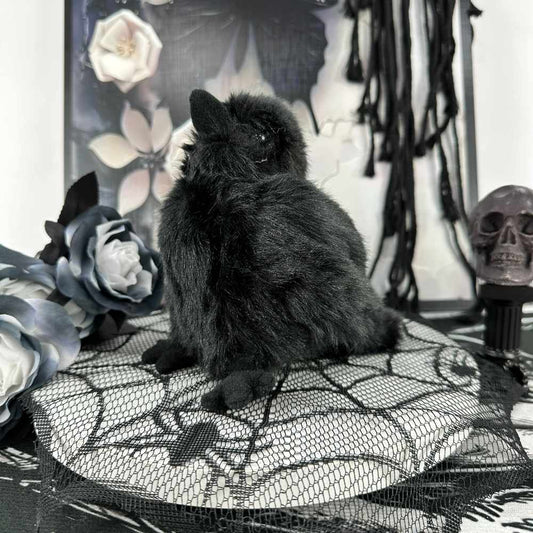 ブラックゴスカラスぬいぐるみ