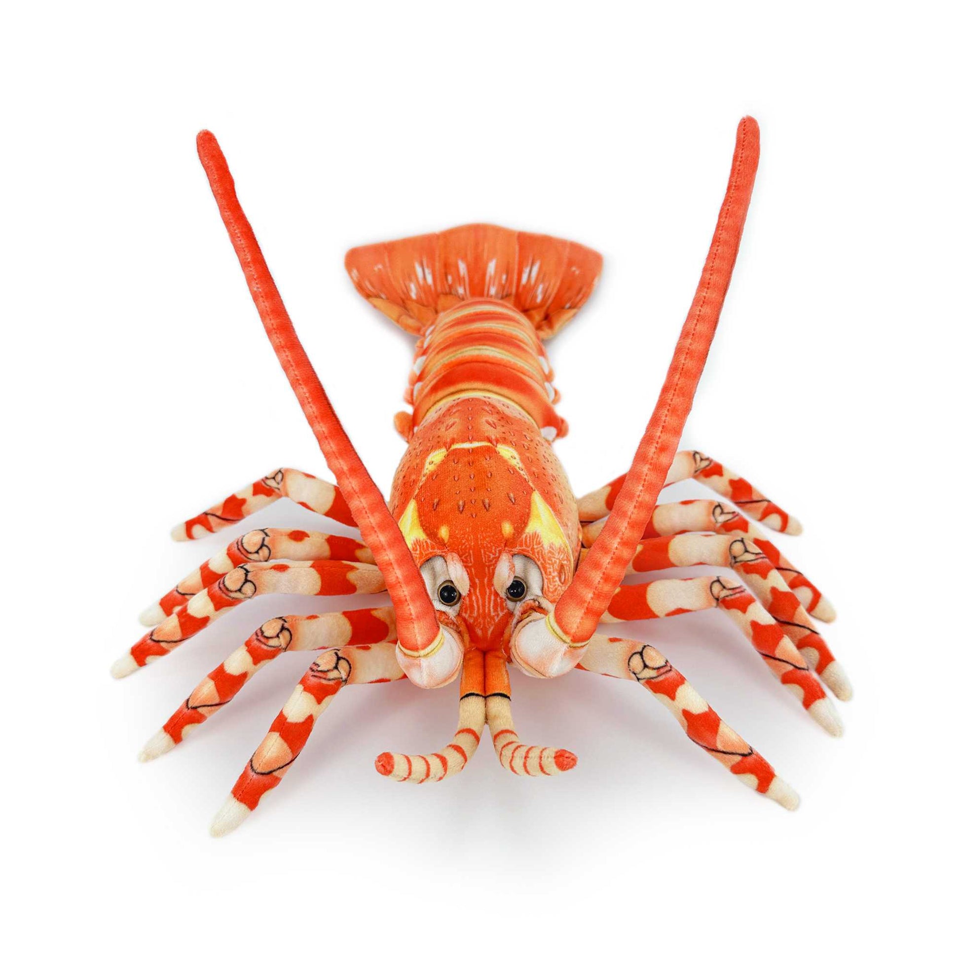 リアルなイセエビのぬいぐるみ